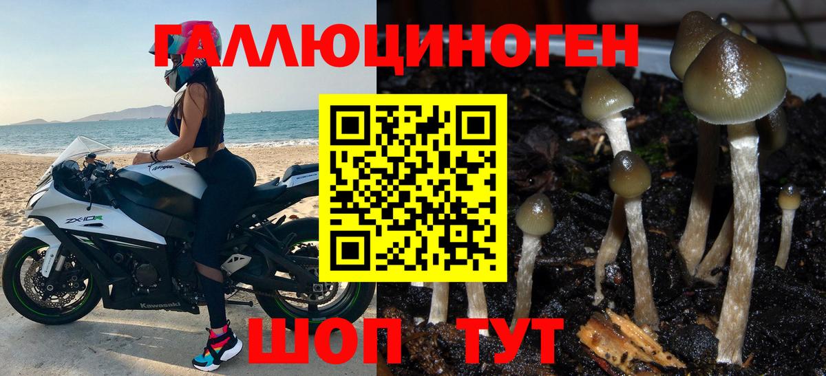 Галлюциногенные грибы ЛСД Дзержинский